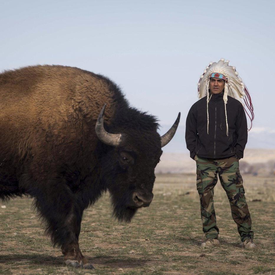 In Wyoming, the Eastern Shoshone tribe decided to classify buffalo as wildlife. Here is why